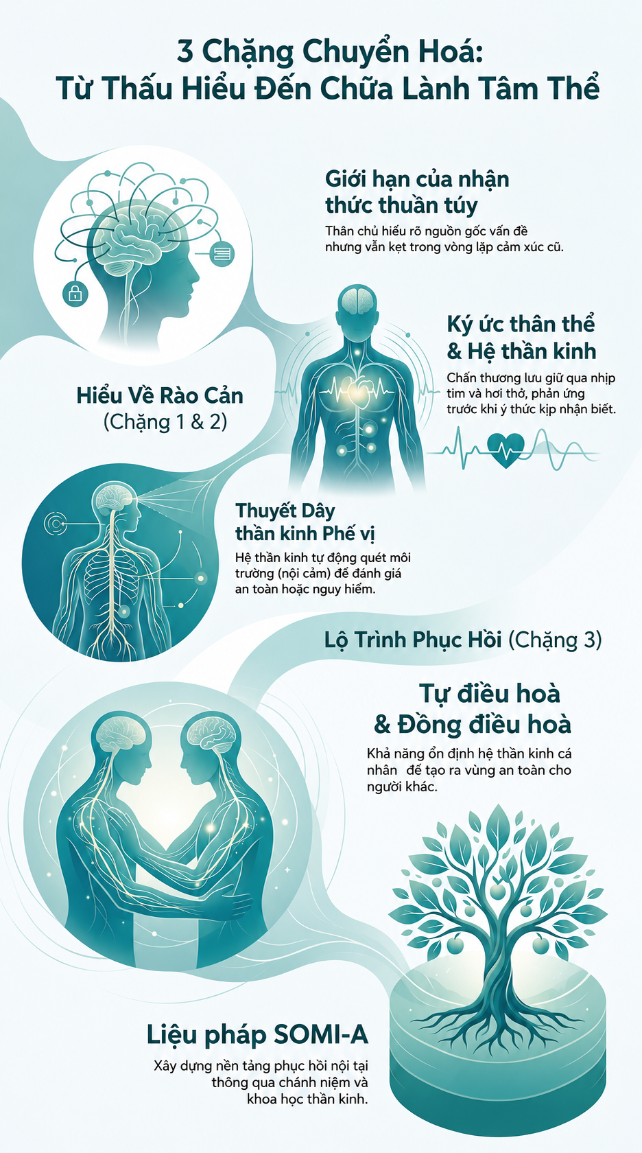 Cơ thể nhớ những gì tâm trí đã "Quên"