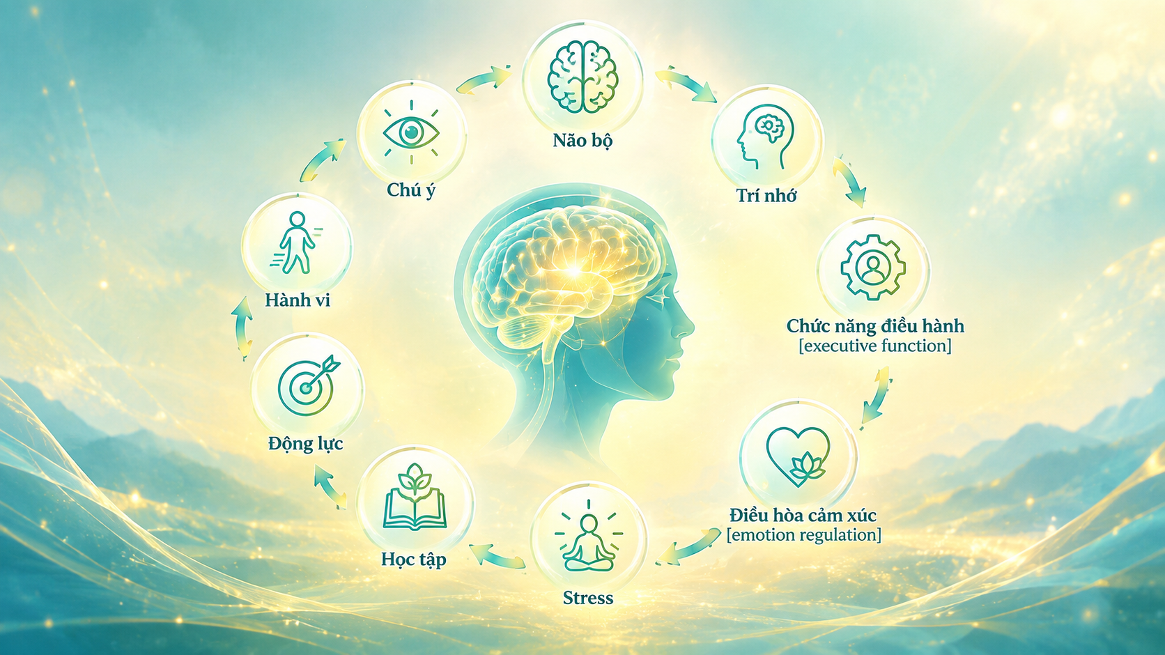 Con người vận hành như thế nào?